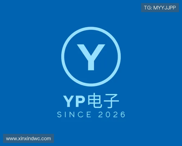 发现YP电子